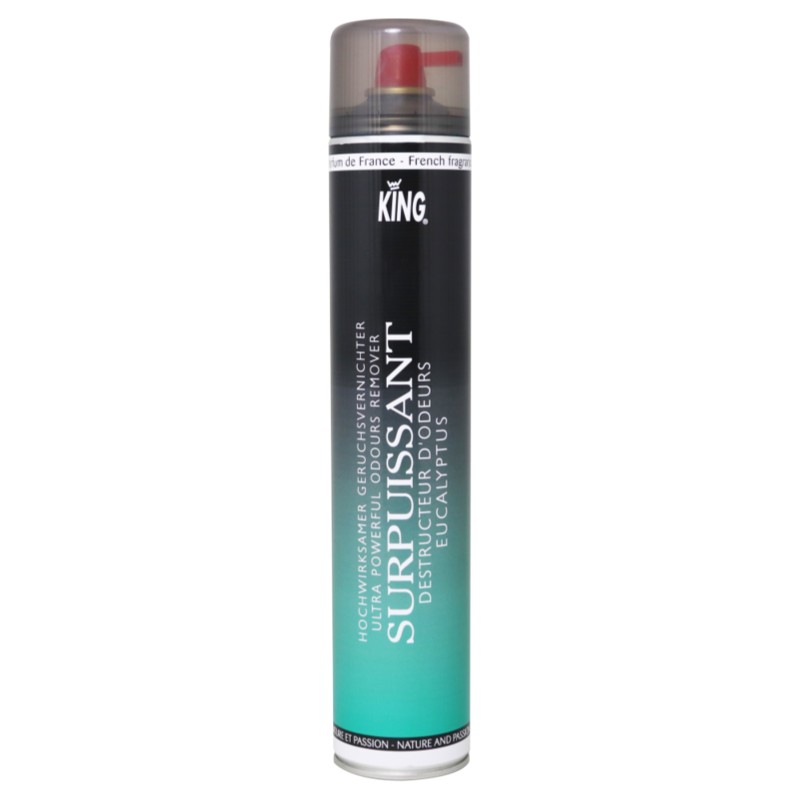 Hochleistungs-Geruchskiller (kräftiger Sprühstrahl) - Eukalyptus - King - 750-ml-Spraydose